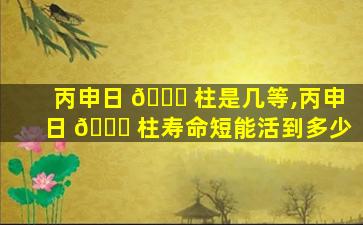 丙申日 🕊 柱是几等,丙申日 🐕 柱寿命短能活到多少